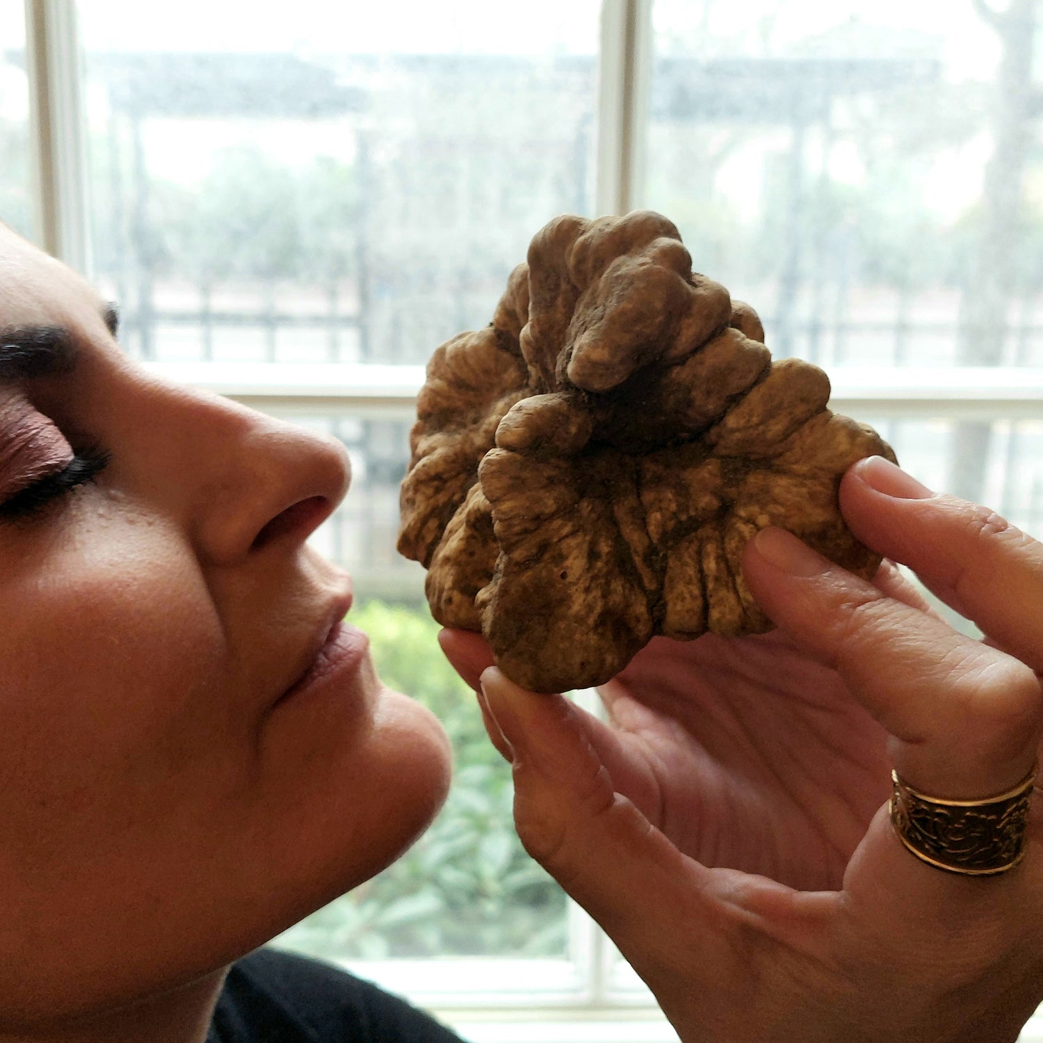 Fresh Italian Truffle