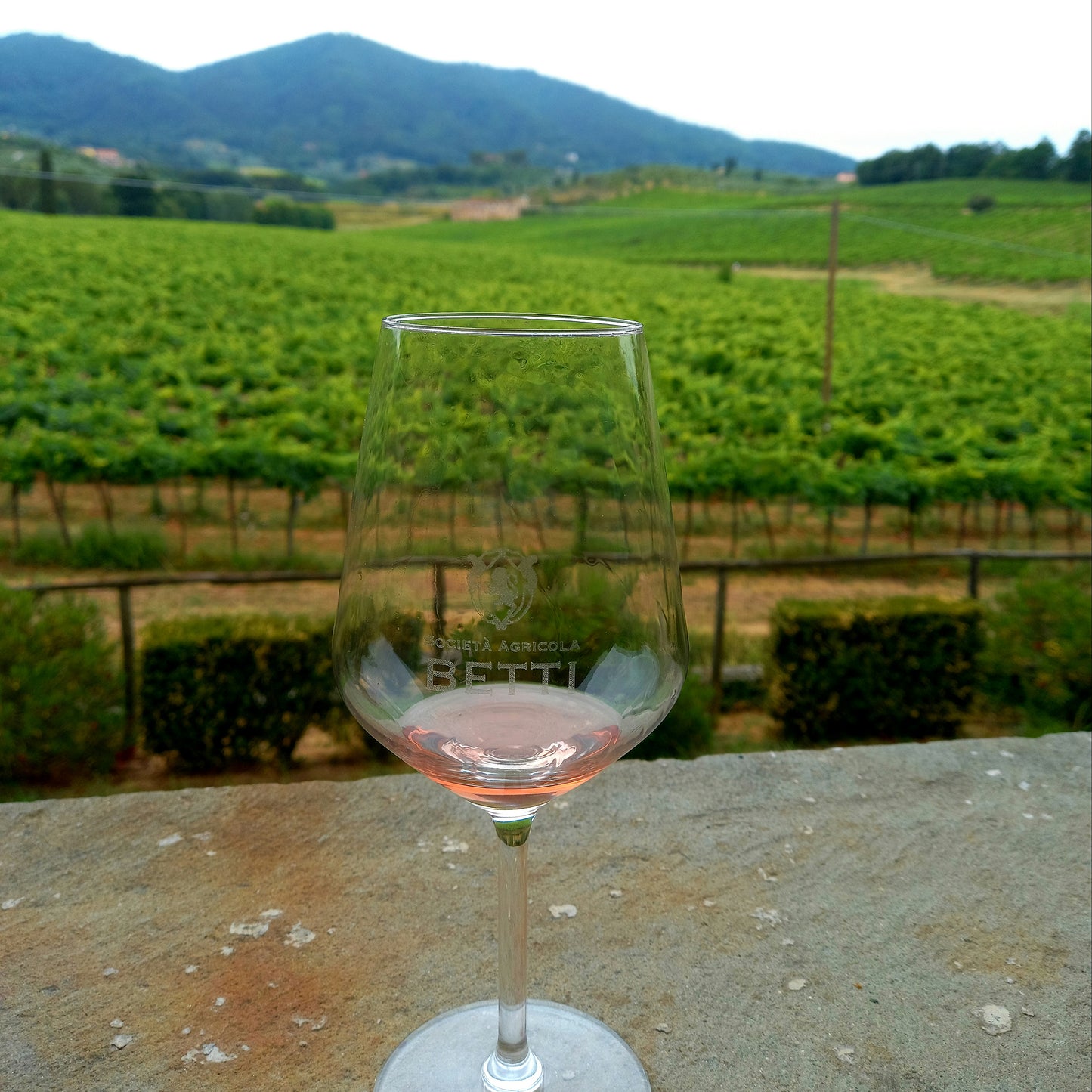 ROSÈ DI TOSCANA IGT “CAPRONE” 2023 750ml Sangiovese 100% Fattoria Betti