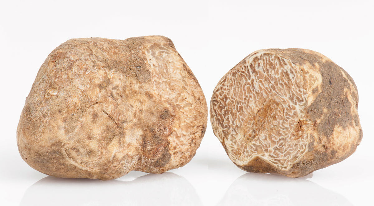 Italian Fresh White Truffle "Tuber Magnatum Pico"