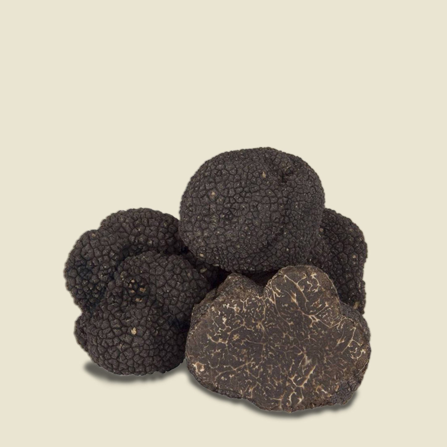 SUPERIOR BLACK TRUFFLE Tuber Melanosporum Vittadini "black perigord" *SOLD OUT NOT IN SEASON NOW*