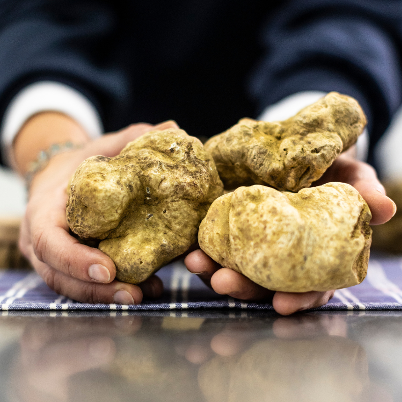Italian Fresh White Truffle "Tuber Magnatum Pico"