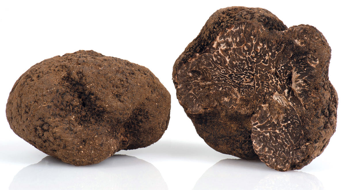 SUPERIOR BLACK TRUFFLE Tuber Melanosporum Vittadini "black perigord" *SOLD OUT NOT IN SEASON NOW*