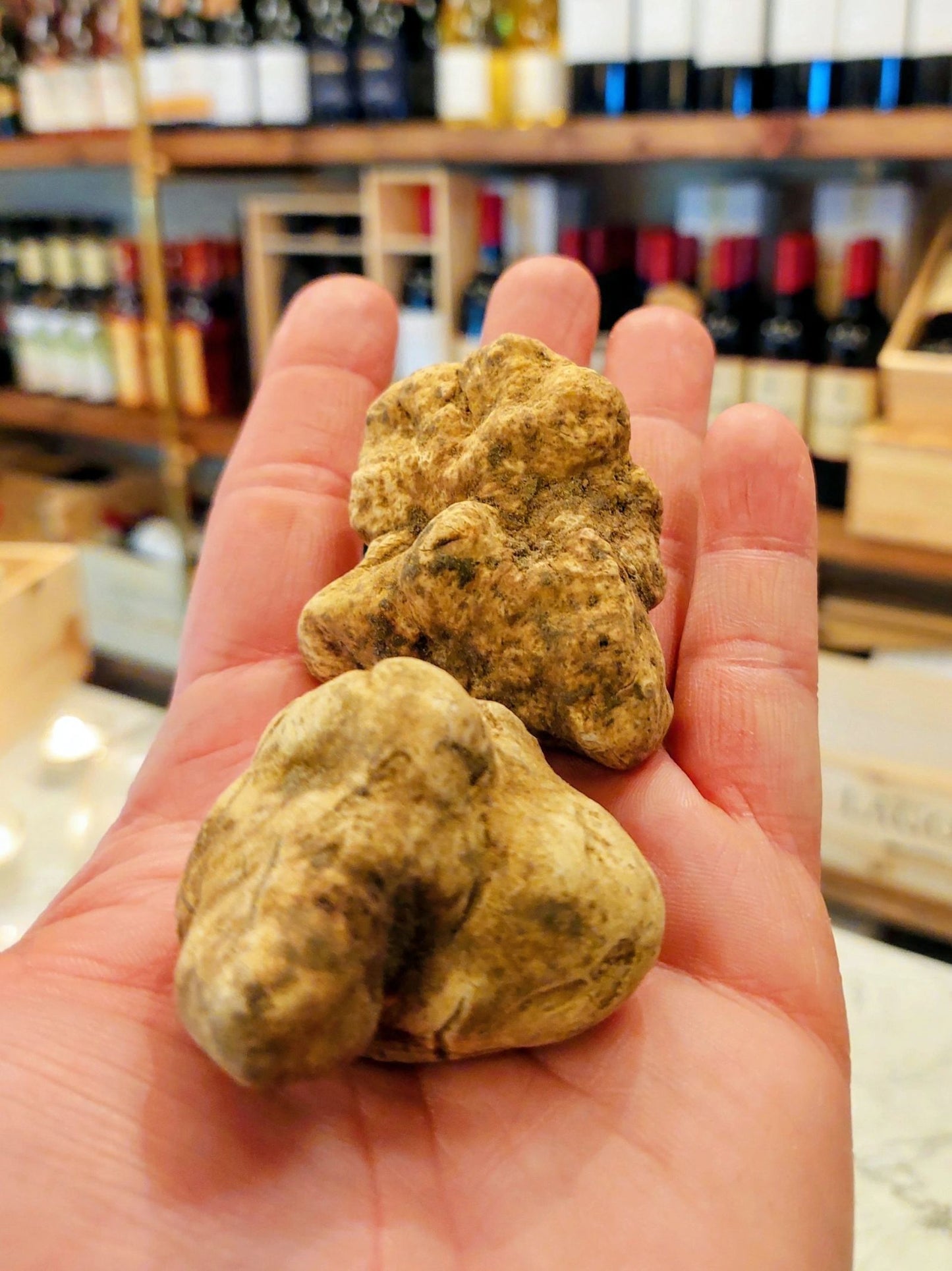White Truffle Tasting Menu
