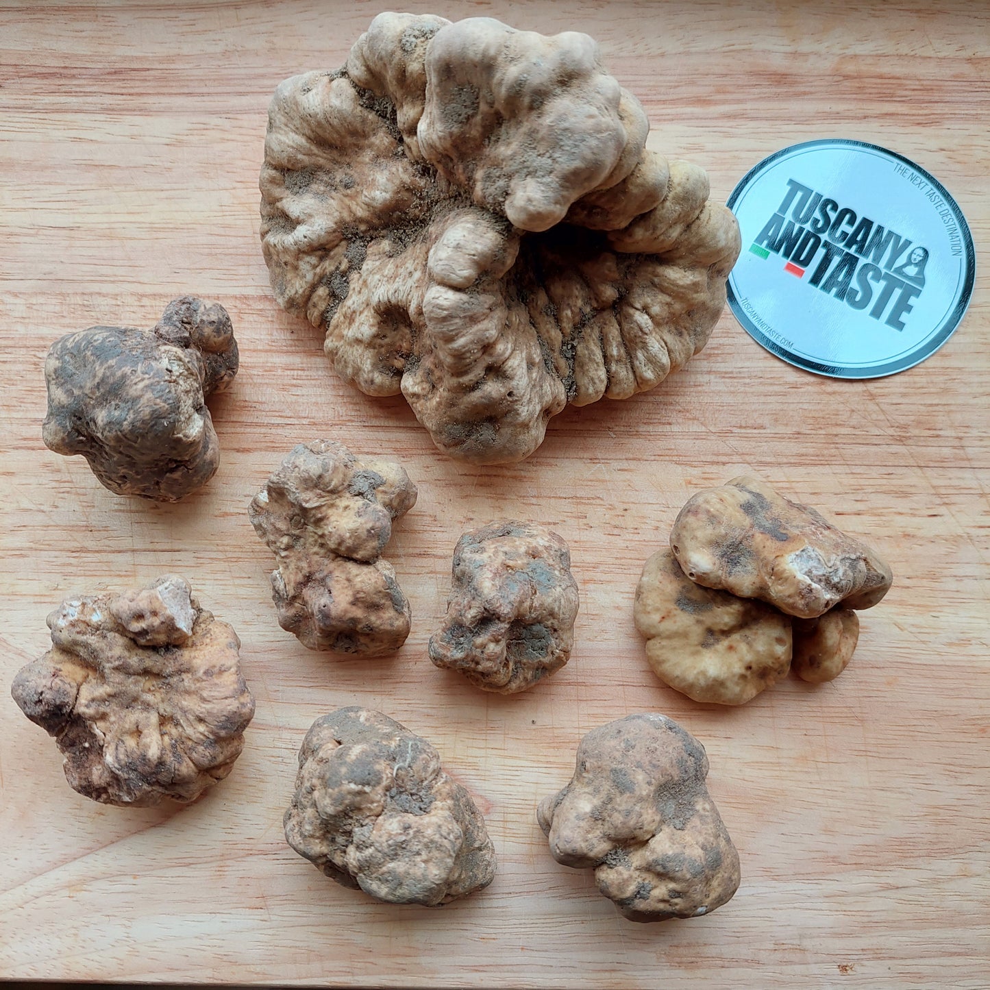 Italian Fresh White Truffle "Tuber Magnatum Pico"