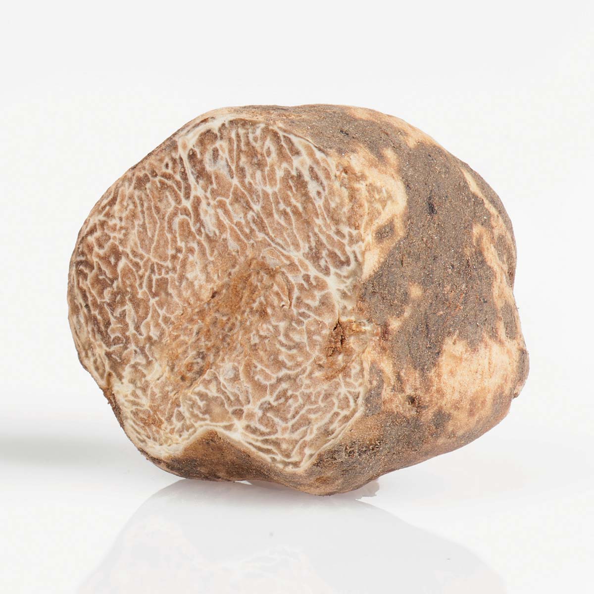 Italian Fresh White Truffle "Tuber Magnatum Pico"