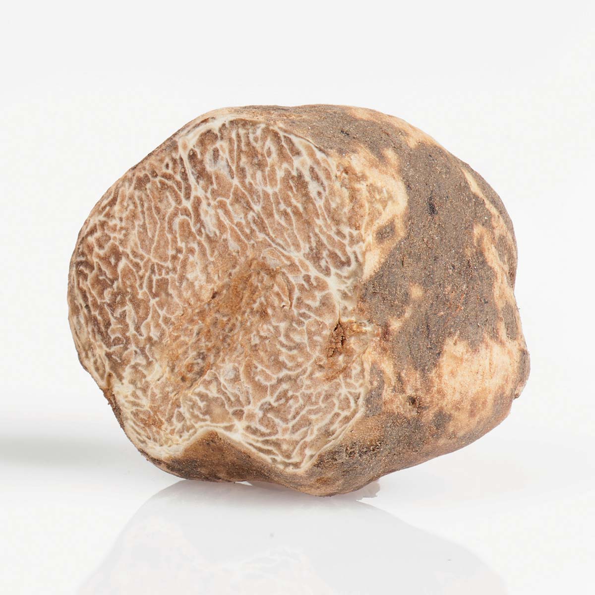 Italian Fresh White Truffle "Tuber Magnatum Pico" *SOLD OUT NOT IN SEASON NOW*