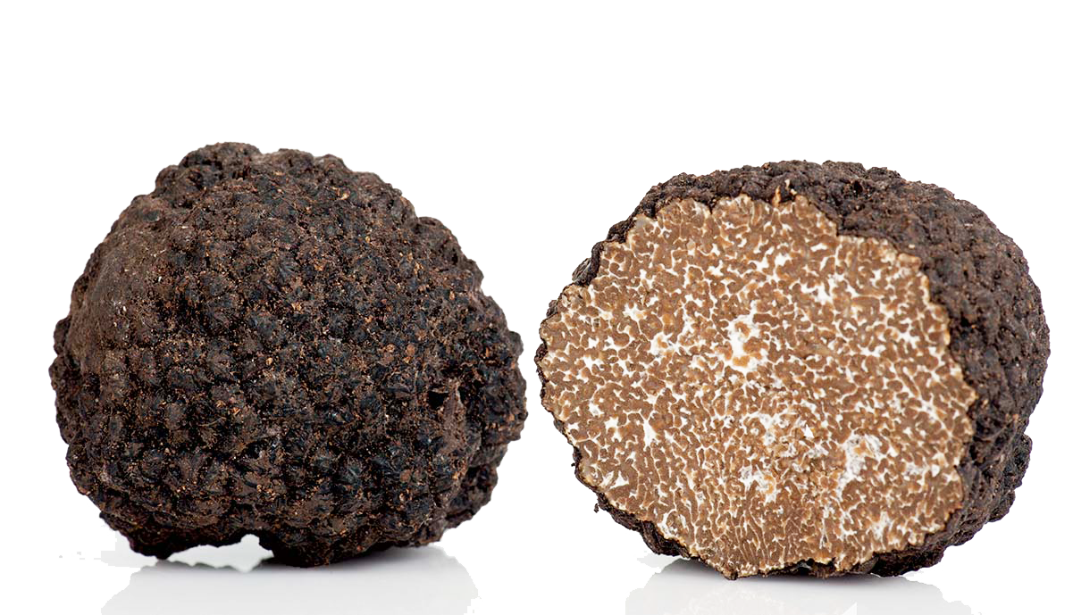 FRESH SUMMER BLACK TRUFFLE Tuber Aestivum Vittadini; best known as “Summer Scorzone” *SOLD OUT NOT IN SEASON NOW*