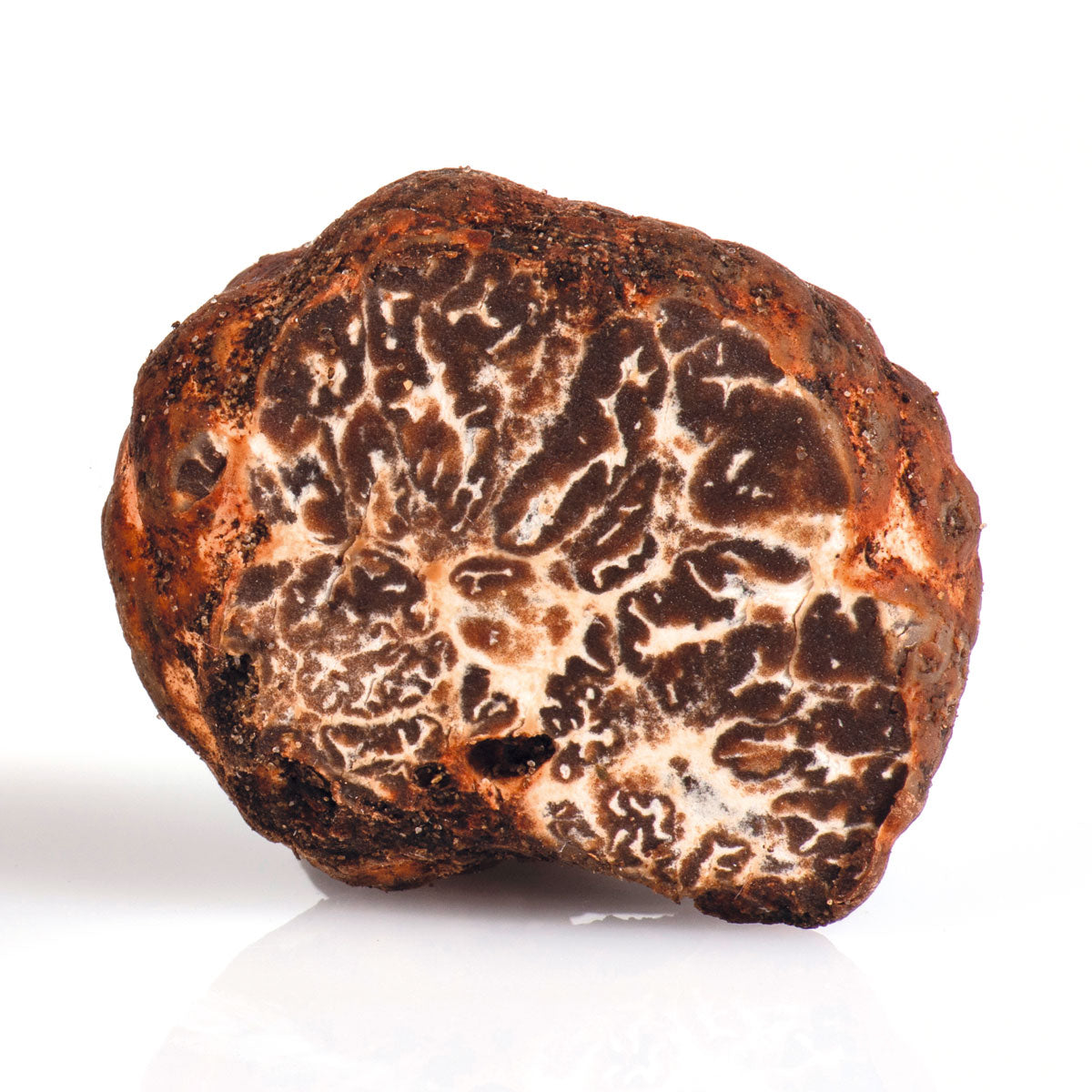 FRESH BIANCHETTO TRUFFLE Tuber Borchii Vittadini best known as “Marzuolo” *SOLD OUT NOT IN SEASON NOW*