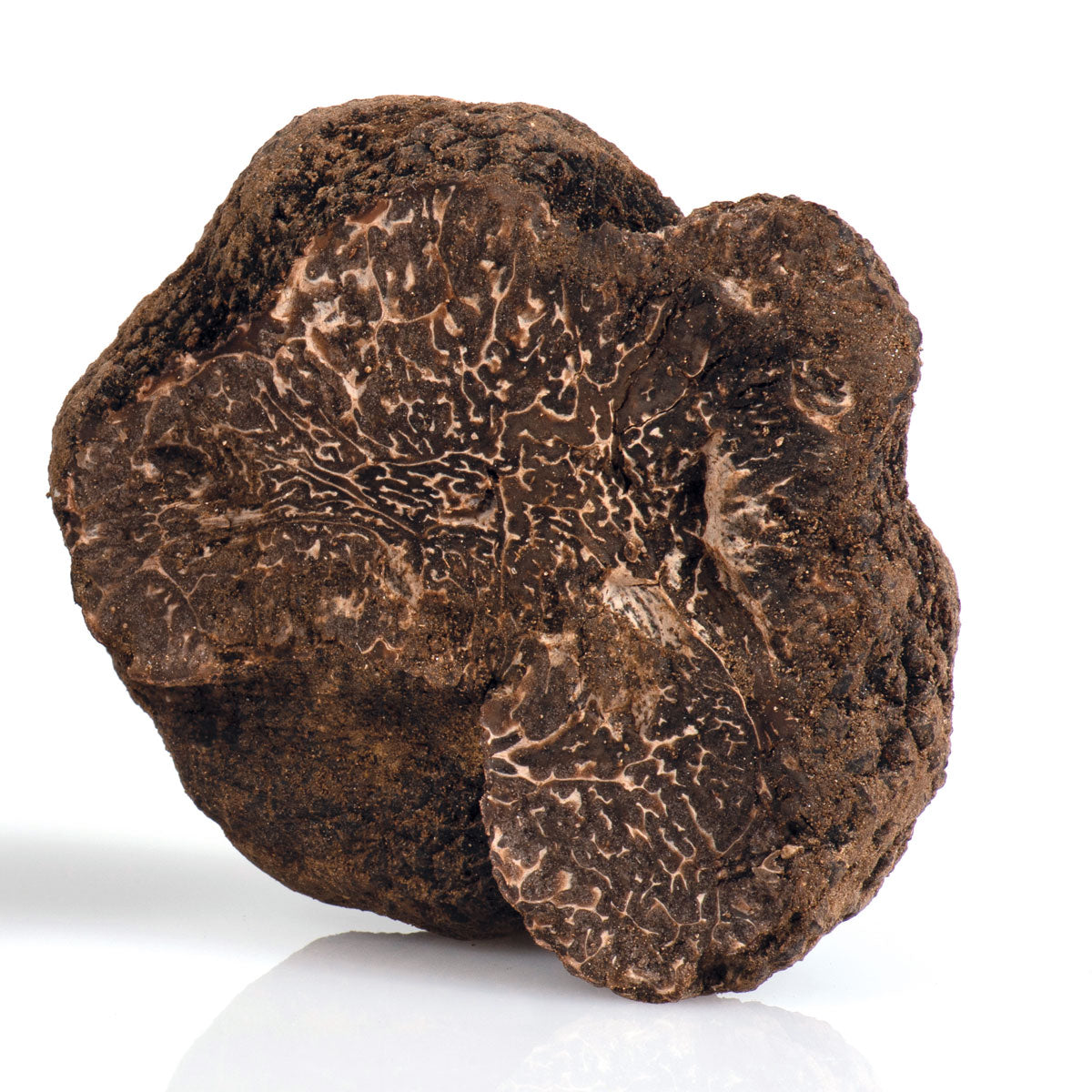 SUPERIOR BLACK TRUFFLE Tuber Melanosporum Vittadini "black perigord" *SOLD OUT NOT IN SEASON NOW*