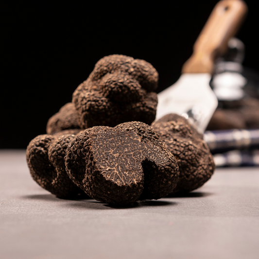 SUPERIOR BLACK TRUFFLE Tuber Melanosporum Vittadini "black perigord"