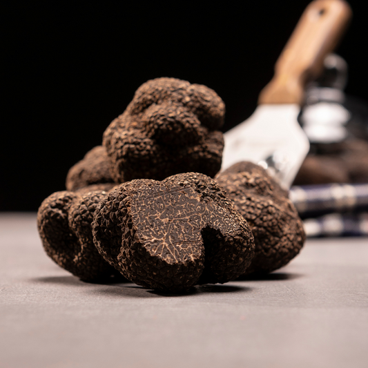 SUPERIOR BLACK TRUFFLE Tuber Melanosporum Vittadini "black perigord" *SOLD OUT NOT IN SEASON NOW*