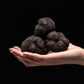 Italian Black Truffle Uncinatum Or “Winter Scorzone” *SOLD OUT NOT IN SEASON NOW*