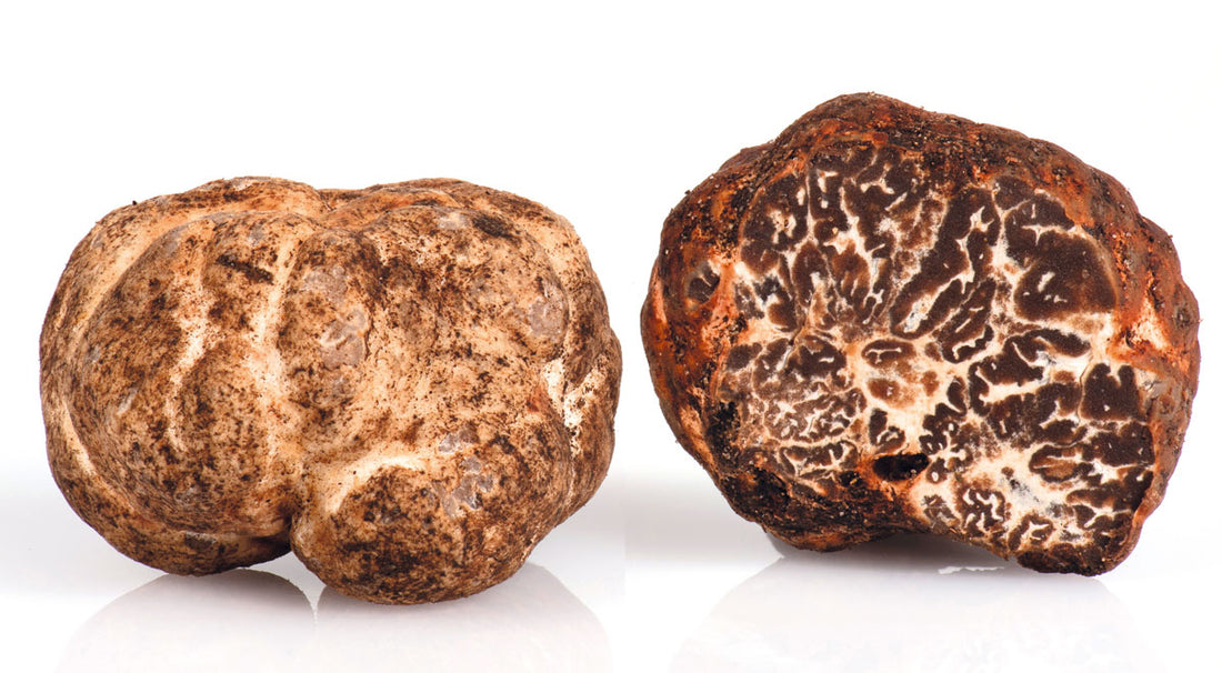 tartufo-bianchetto-fresco-1_1100x.jpg?v=1706813752