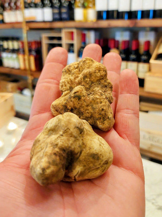 White Truffle Tasting Menu