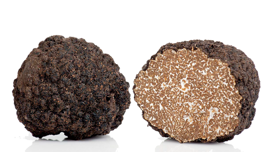 FRESH SUMMER BLACK TRUFFLE Tuber Aestivum Vittadini; best known as “Summer Scorzone” *SOLD OUT NOT IN SEASON NOW*